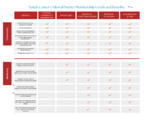 White background graphic with an excel spreadsheet layout with red rectangles across the top and black text down the left side, there are gray boxes with pink checkmarks in the middle.