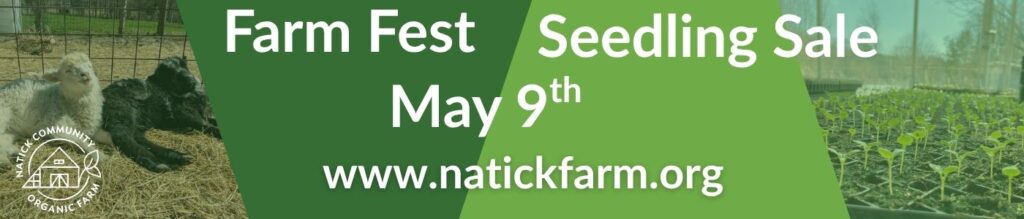 Green background graphic. All the words in white are in the body of the text or are the date and time of the event. There is a photograph of two sheep, one black and one white to the left.